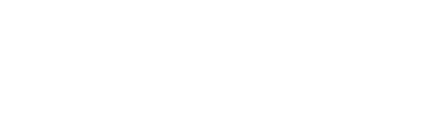 GA Travel Assist